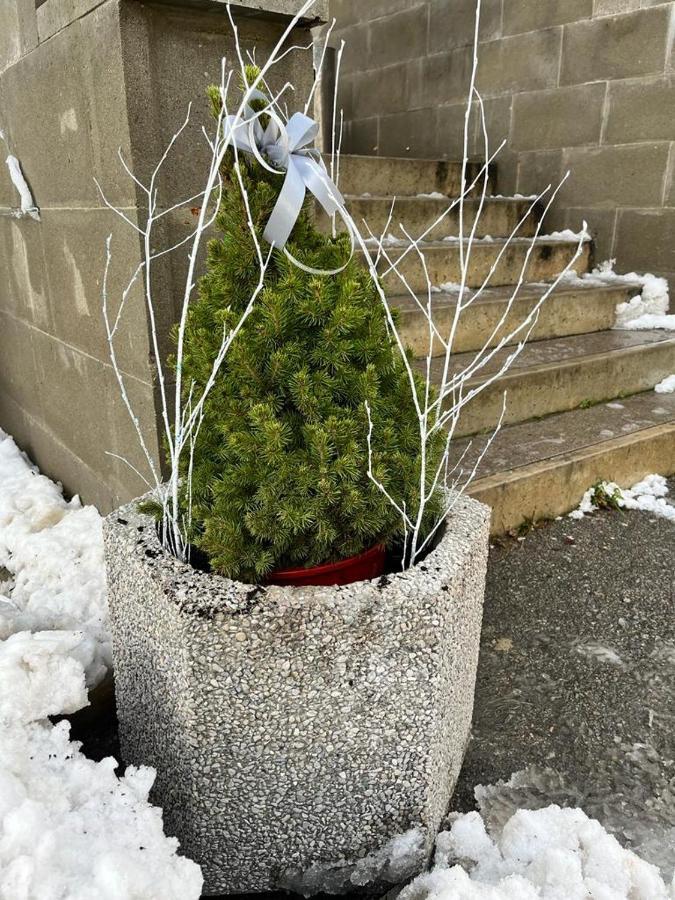 Ubytovna Kaplice Kültér fotó